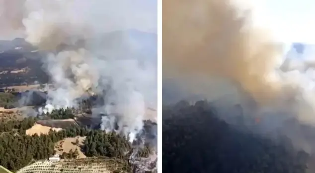 A forest fire broke out in Balıkesir.