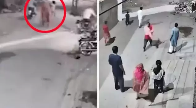 The lion kept at home attacked the women and children walking on the street.