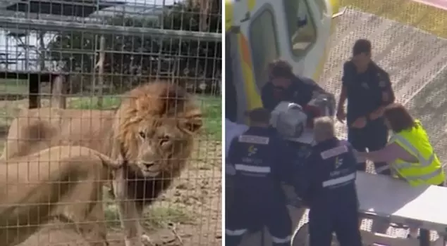 Zoo horror: Woman loses arm in lion attack.