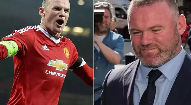 The Rooney family is making a splash on screen! Their annual earnings are jaw-dropping.