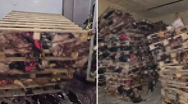 In Bursa, decayed animal heads were found in an empty repair shop.