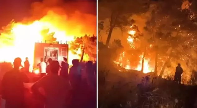 A fire broke out in a forested area in Hatay.