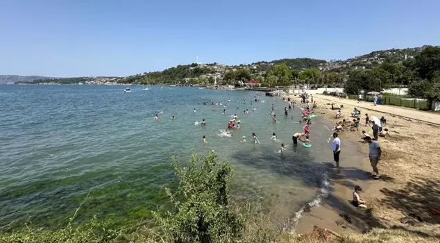 Swimming in the sea has been banned in Beykoz.