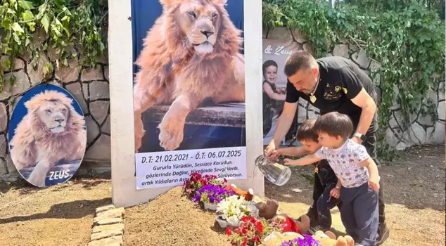 After the lion that attacked the farmer was killed, its owner had a symbolic grave made in front of his house.