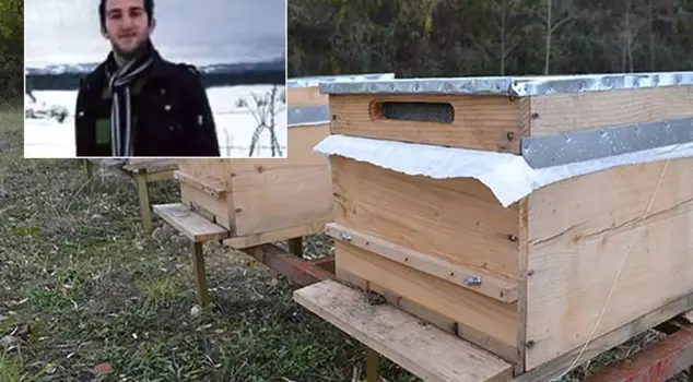 The young person in the spring of their life lost their life due to a bee sting.