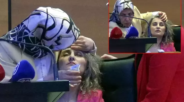 The academic presenting on the panel suddenly fell ill.