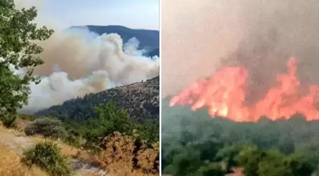Forest fire on the Bursa-Balıkesir border! One neighborhood has been evacuated.