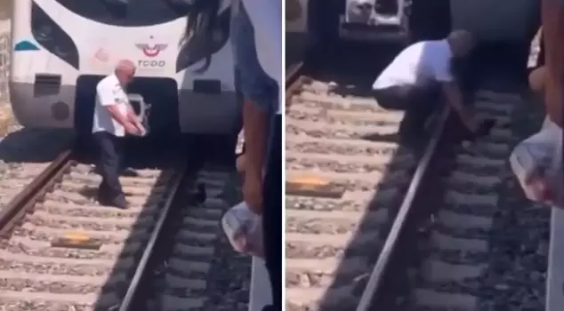 He stopped the train to save the cat that had fallen onto the tracks and got down onto the rails.