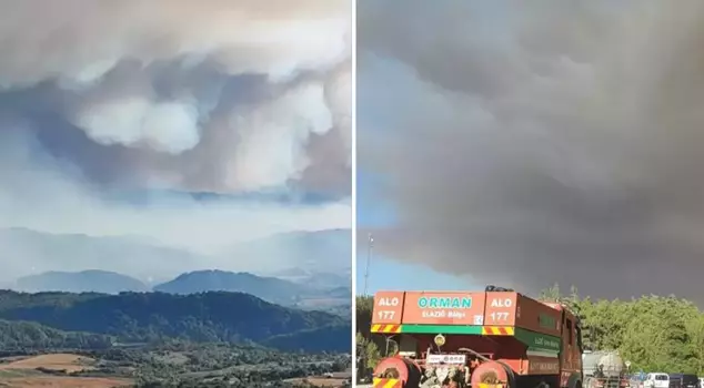 The forest fire in Syria has spread to the Yayladağı district of Hatay.