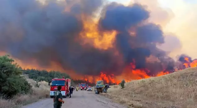 Forest fire in Tekirdağ: A neighborhood threatened by flames is being evacuated.