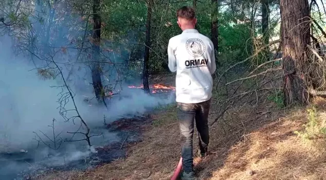 Forest fire in Amasya! An area of 10 decares was damaged.
