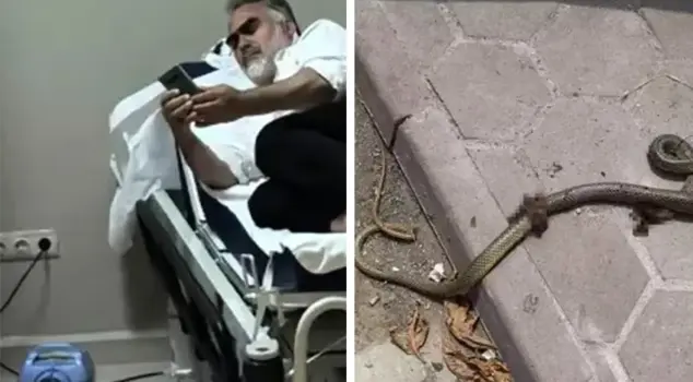 A seasonal worker was attacked by a snake and was hospitalized.
