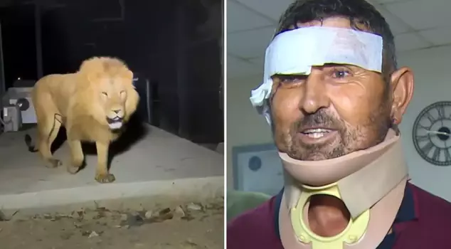 Farmer injured in lion attack discharged: 