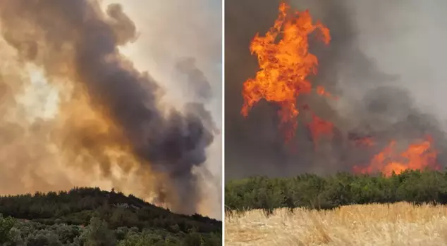 Forest fire in 3 provinces! Many neighborhoods affected by the flames are being evacuated.
