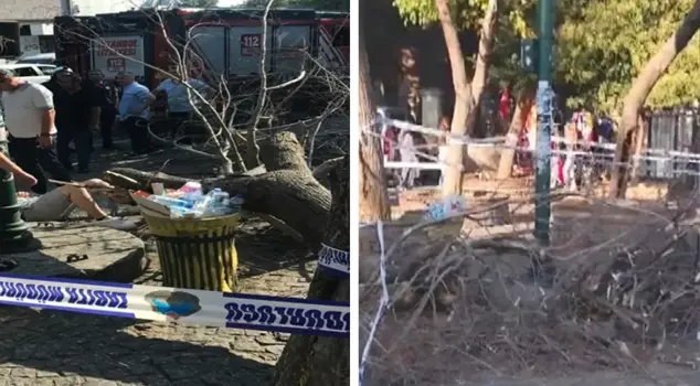 A tree knocked down by the wind in Istanbul injured 3 people.