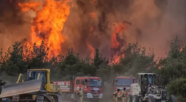Tekirdağ forest fire: Flames have spread to Gelibolu, the highway has been closed.