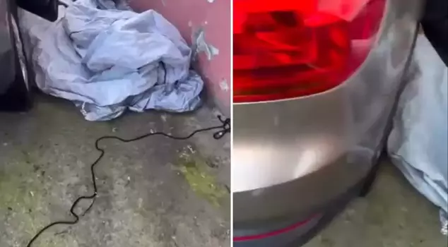 A citizen who opened their vehicle after 2 months was shocked by the scene they encountered.
