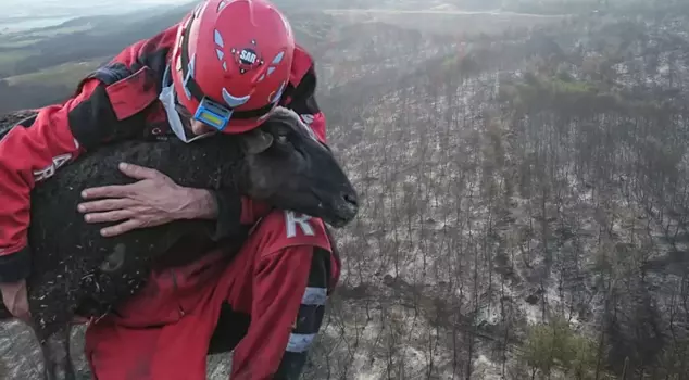 The forest fire in Tekirdağ was brought under control on the second day.