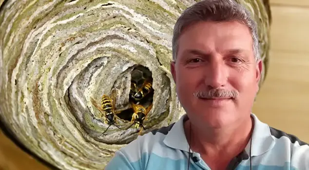 The bitter end of the citizen who disturbed the nest of wild bees in the hobby garden.