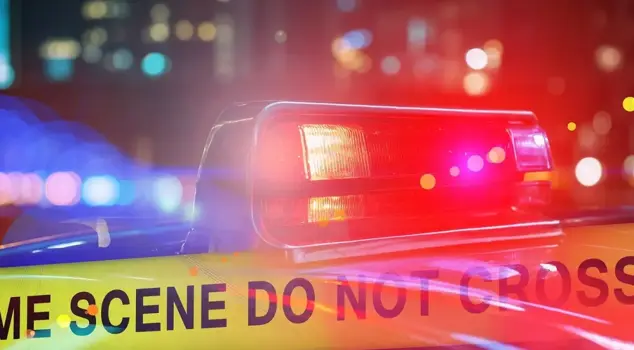 A vehicle plunged into a crowd in the U.S.: More than 20 people were injured.