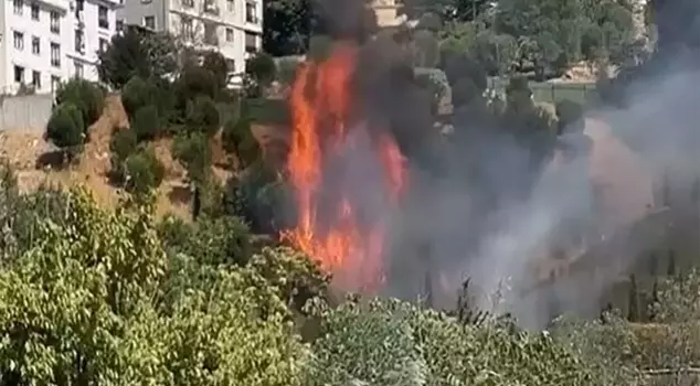 İstanbul Kağıthane'de ağaçlık alanda yangın. 

Русский перевод: Пожар в лесистой местности в Кагытхане, Стамбул.