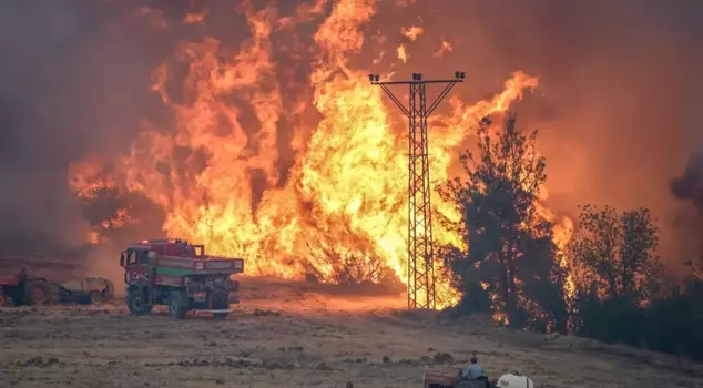 Forest fire in Sakarya and Bilecik: 4 evacuated.