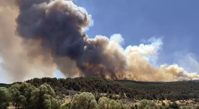 The forest regional director was caught in the flames, and a helicopter came to the rescue.
