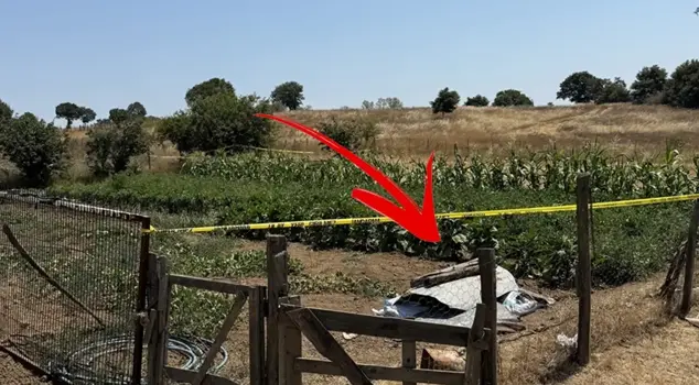 The lifeless body of the woman who went to the vegetable garden was found.