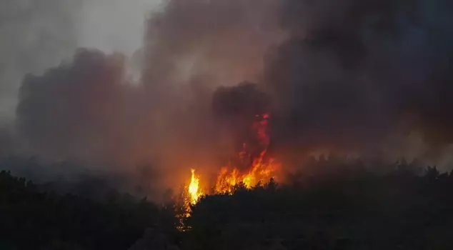 Four of the 23 people detained in connection with 61 forest fires have been arrested.