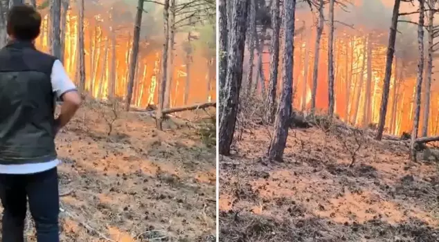 The moments when the forest regional director and his team were caught in the flames are captured on camera.