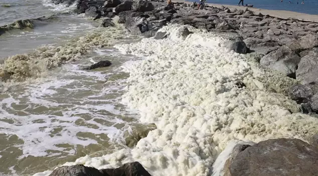 A foam-like layer formed on the shore.