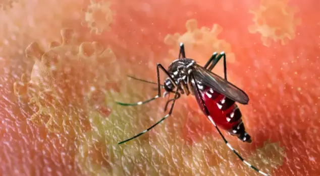 Всемирная организация здравоохранения предупреждает о 