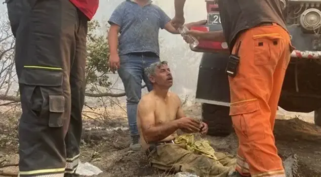 There is news about the forest worker who is crying out, 