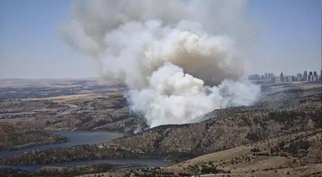 Forest fire in Ankara.