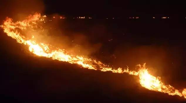 It closely concerns farmers! New measures against forest fires in Istanbul.