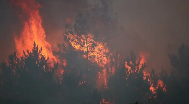 A forest fire in Karabük intensified on its 4th day! Villages are being evacuated one by one.