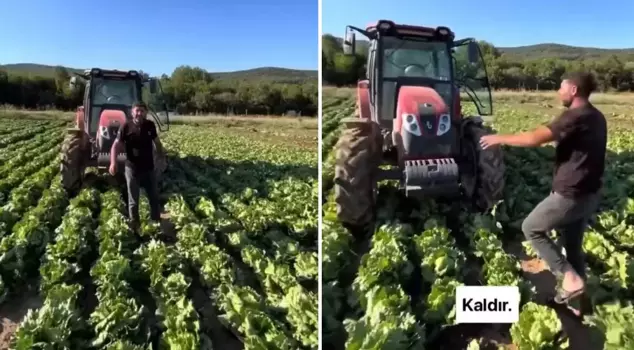 The price offered for the crop in his field has outraged the producer: They are selling it for 30 TL in the market.