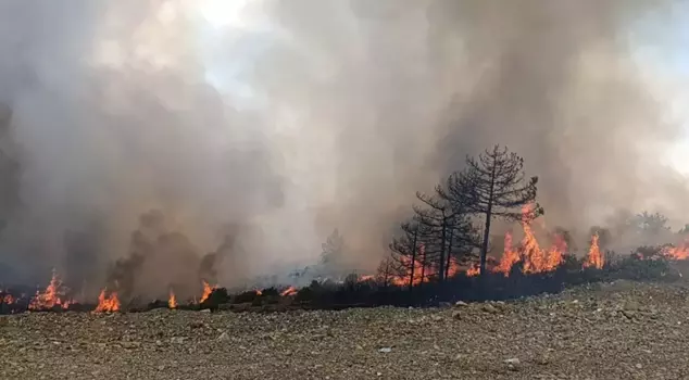 The flames have reignited in Bursa! 1,765 people have been evacuated, and a call for help is being made via announcements.