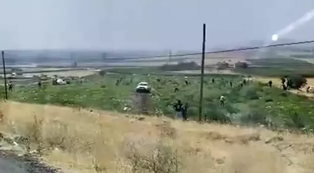 The watermelon field owner was shocked by the scene he encountered.