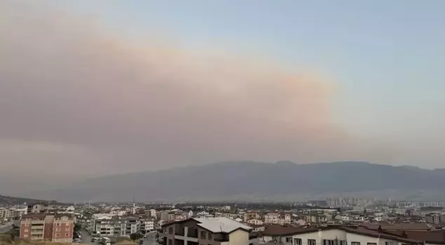 The smoke from the forest fire in Bursa reached the skies of the city.