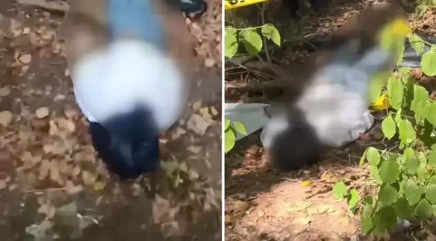 A male corpse with a plastic bag over its head and taped was found in a wooded area.
