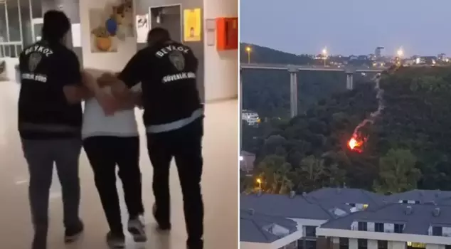 A person who caused a forest fire by firing a signal flare in Beykoz has been arrested! Here is their first statement.