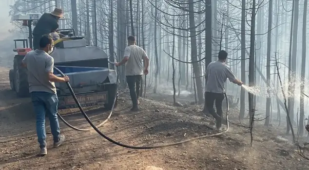 Крестьяне также mobilизовались против лесного пожара.