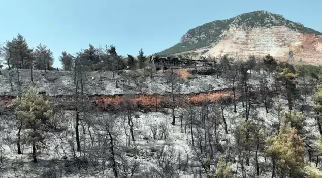 The current state of the district that has experienced the largest forest fire in its history: Words are not enough to describe this pain.