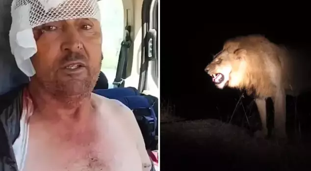 The Antalya resident Süleyman, who is wrestling with a lion, sees the same dream every night.