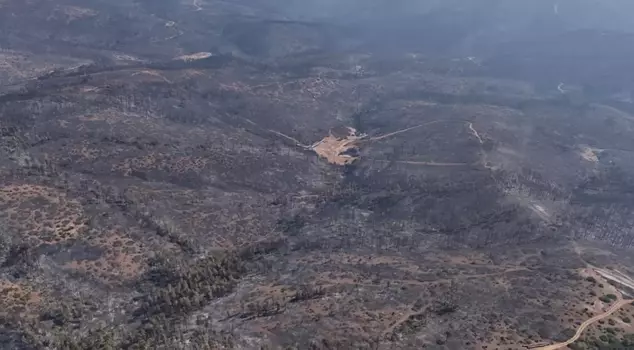 The forest fires in Bursa were brought under control on the 5th day.
