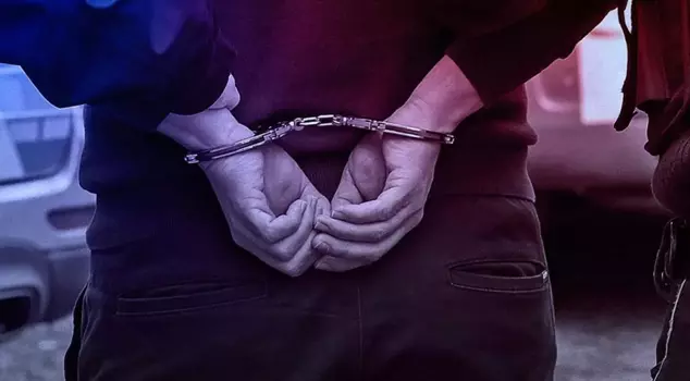 They hired a hitman to kill the lawyer, and he confessed to the murder plan.