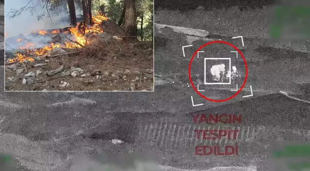 The arsonists were caught on drone footage like this.