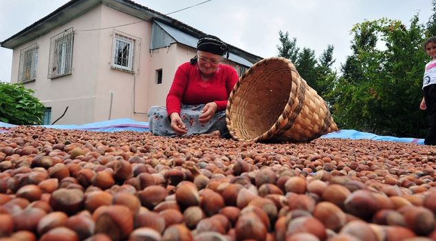 The hazelnut purchase price has been determined.