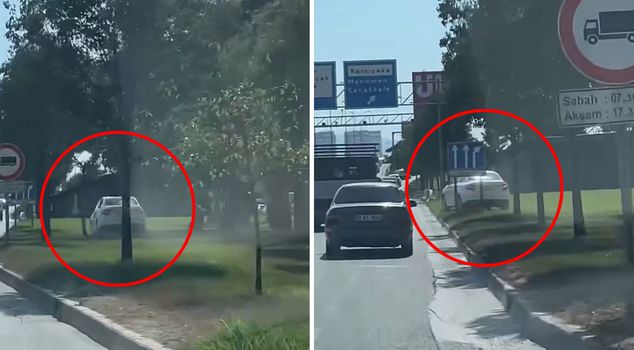 He/she advanced through the grassy area to bypass the heavy traffic.